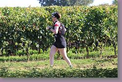 Trial Carignan 334 * 680 x 453 * (213KB)